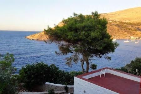 Tramontana