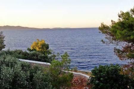 Tramontana * Hydra (Saronic Islands)